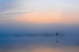 Lauwersmeer