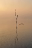 Lauwersmeer