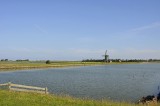 Texel