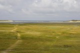 Texel (de Slufter)