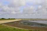 Texel