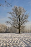 Vliegveldweg / Hengelo