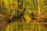 Twickel (Twickelervaart)