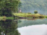 mini log reflection