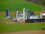 mini pennsylvania farm 1