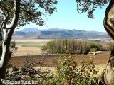 View to the Witteberge