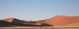 Dunes with Ostrich