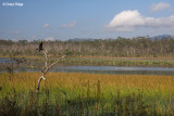 0582-mareeba-wetlands.jpg