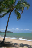 2228-palm-cove.jpg