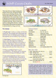 dhunt-stamps-sml2.jpg