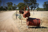5515-rural-letterboxes.jpg