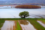 LAKE - STYMFALIA ...