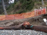 Base of Bluff Trail Erosion 1g 