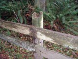DNWR Fence Condition Upland Pedestrian Trail 1t