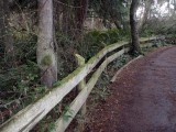 DNWR Fence Condition Upland Pedestrian Trail 3v