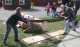 Crosscut Sawing