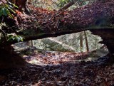 Rockcastle Arch