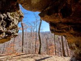 Alum Cove Arch Complex 