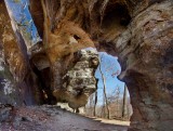 Alum Cove Arch Complex 