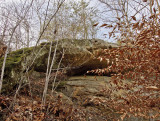 Anteater Arch