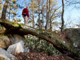 Adderhead Arch