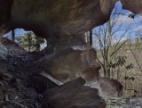 The Y Twin Arches