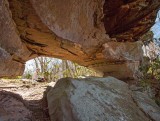 Bony Double Arch