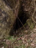 Bear Track Arch