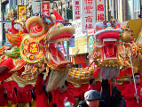 100_0517_small.jpg