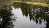 Autumn colors and reflections