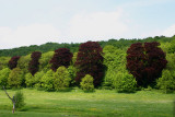 Bomenpracht