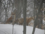 IMG_1643.JPG