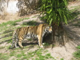 IMG_4759.JPG