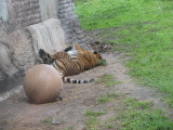 IMG_4760.JPG