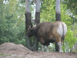 IMG_4764.JPG