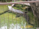 IMG_4818.JPG