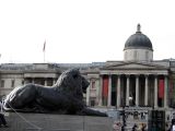 Trafalgar Square/National Gallery