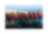 lifes a blur