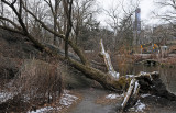 DSC_0950.JPG