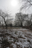 DSC_0953.JPG
