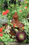 Terracotta Hen in a Garden Plot