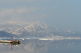 D4_5604F.jpg