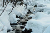 D4_5661F.jpg