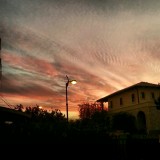 IMG_20121209_165211.jpg