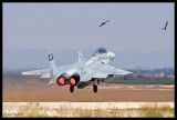 F-15 Eagle,  Israel Air Force