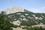 Lovcen