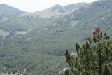 Lovcen