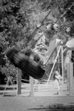 Fun on a tyre swing