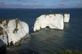 Old Harrys Rock, Dorset