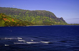Blue Pacific